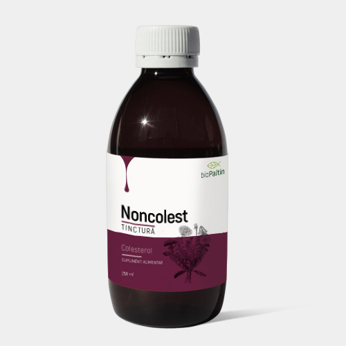 Тинктура Нонхолест (100 ml) при висок холестерол на био Палтин 